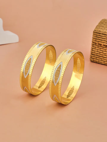 Opulent Sweep 2 Pcs Bangles