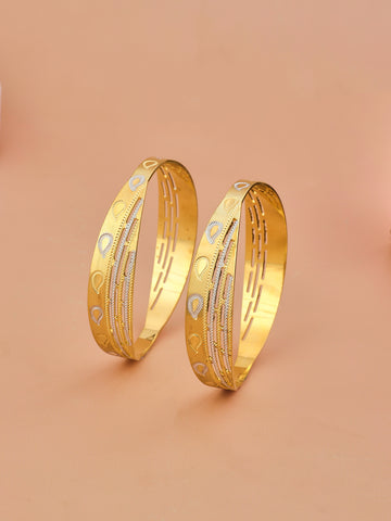 Golden Whisper 2 Pcs Bangles