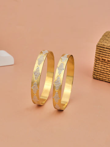 Graceful Gold 2 Pcs Bangles