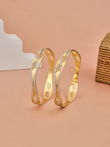 Royal Gleam 2 Pcs Bangles