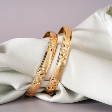 Jaya Fancy Bangles