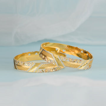 Golden Harmony 2 Pcs Bangles