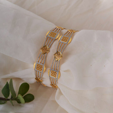 Nitya 2 Pcs Bangles