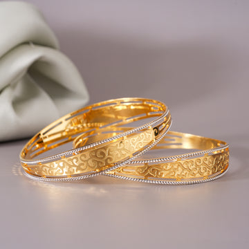 Royal Radiance 2 Pcs Bangles
