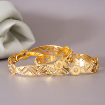 Manaswi 2 pcs Bangles