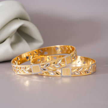 Karina 2 pcs Bangles
