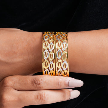 Noble Radiance 2 Pcs Bangles
