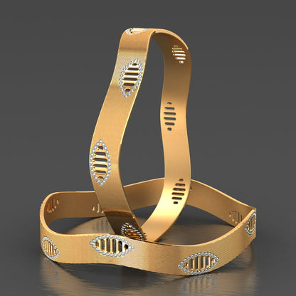 2 Pcs Bangles