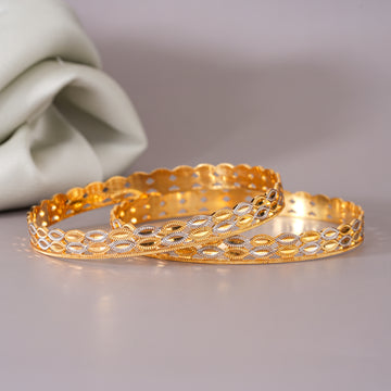 Bharti 2 pcs Bangles