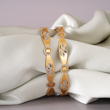 Tinu 2 pcs Bangles